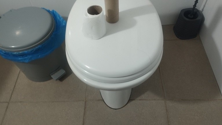 השלכת מגבונים לחים לאסלה