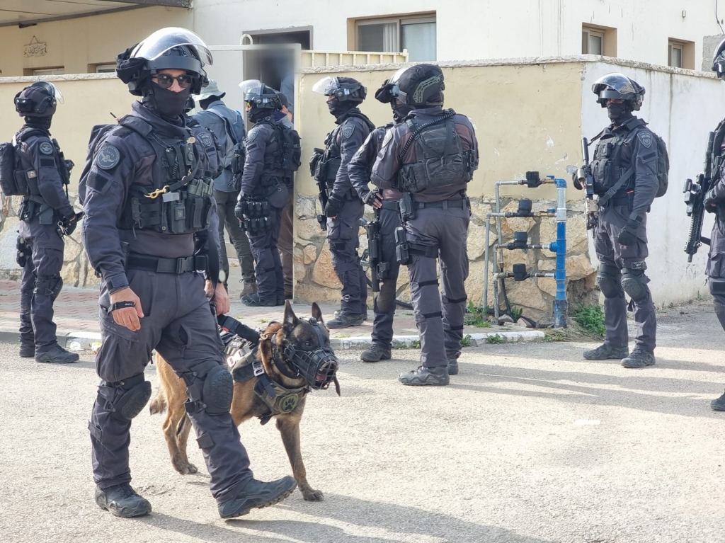 פורטל הכרמל