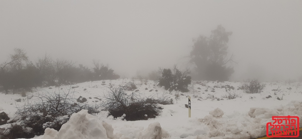  להיערך לסופה