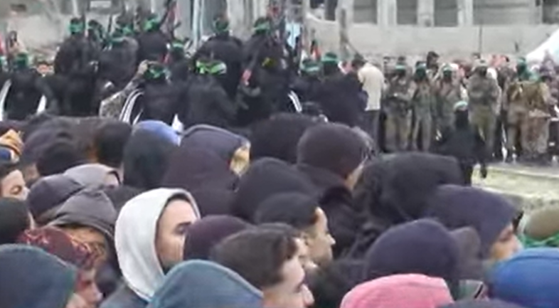 פורטל הכרמל