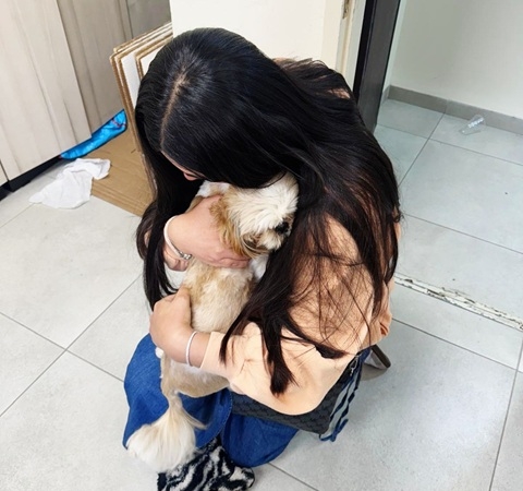 פורטל הכרמל