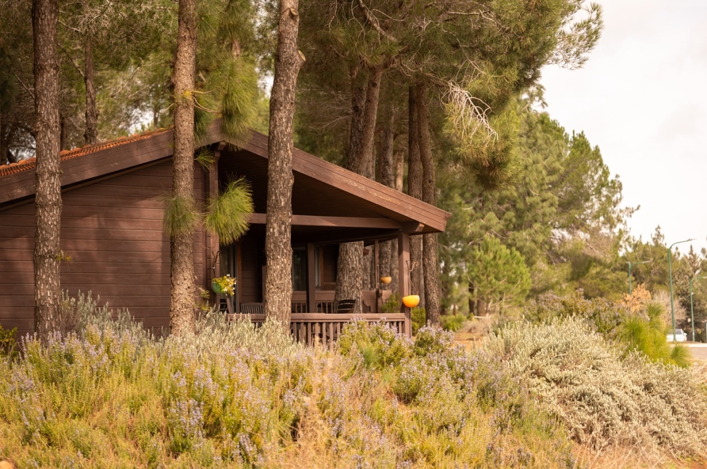 תיירות אורטל סיור קולינרי ייחודי