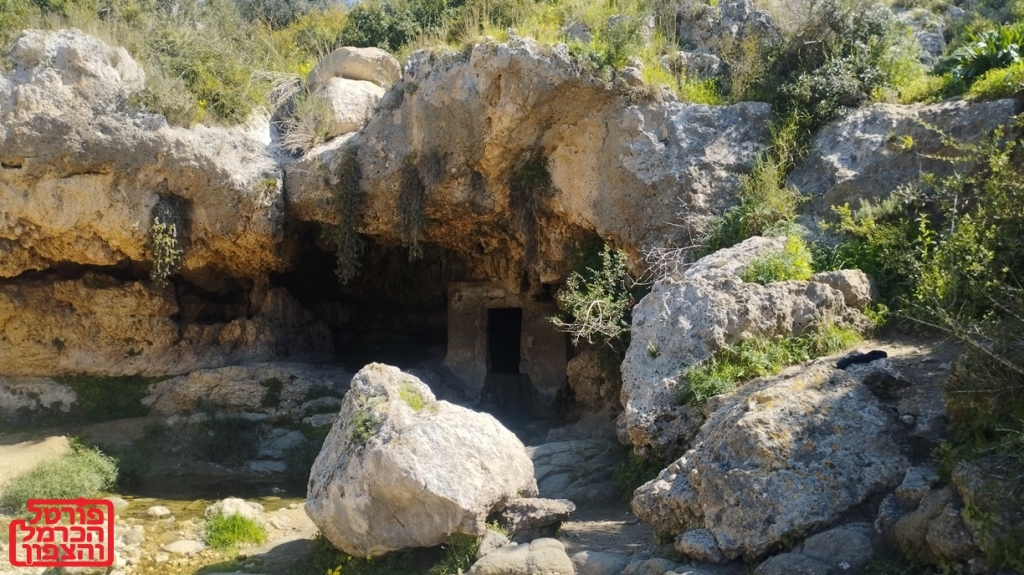 פורטל הכרמל