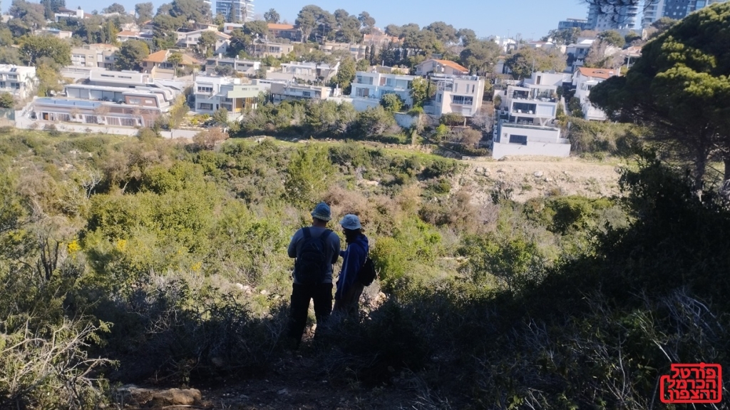 נחל נדר עין קדם