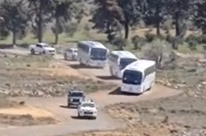 פורטל הכרמל