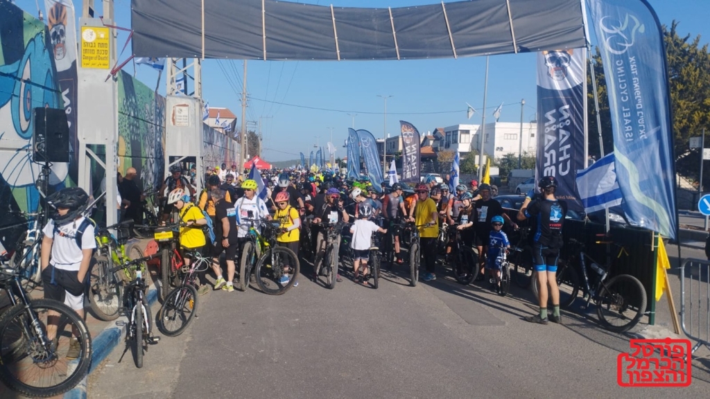 פורטל הכרמל