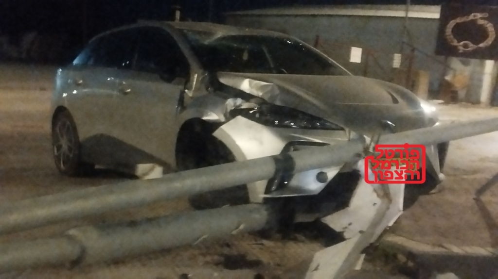 פורטל הכרמל