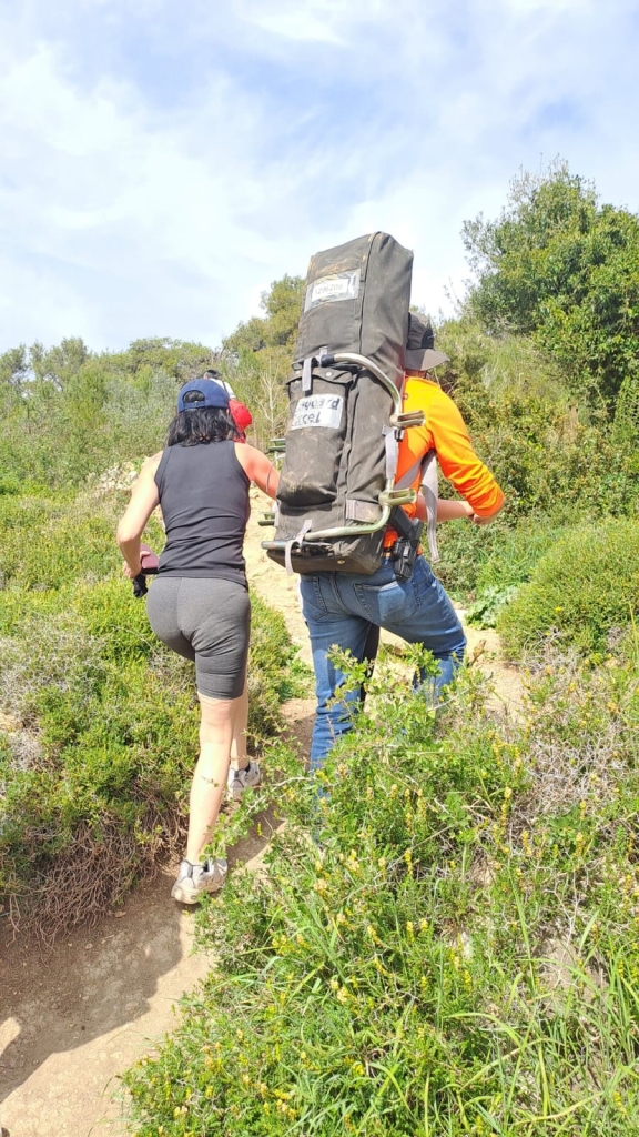 פורטל הכרמל