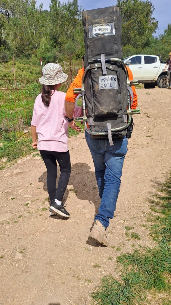 פורטל הכרמל