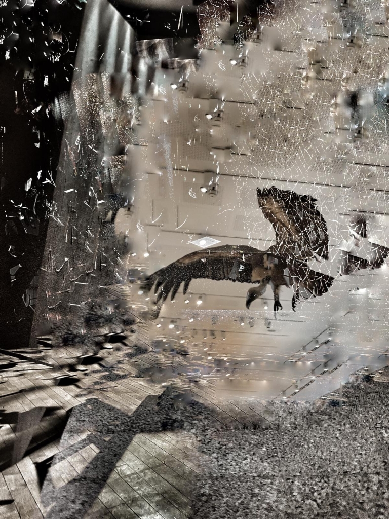 פורטל הכרמל