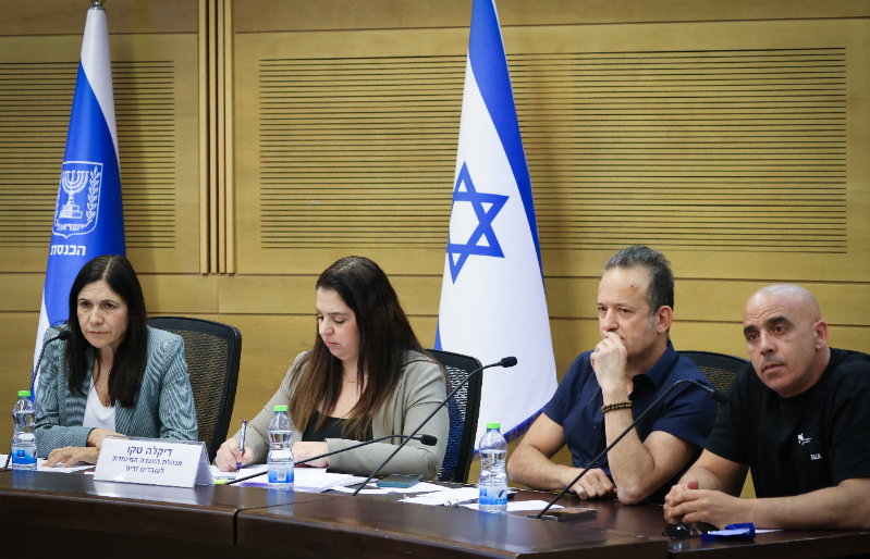 פורטל הכרמל