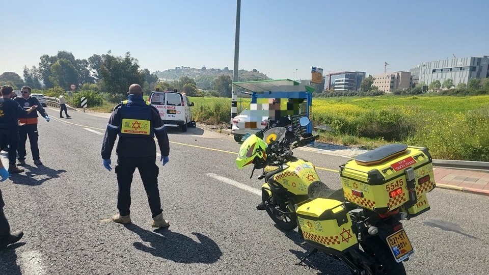 פורטל הכרמל