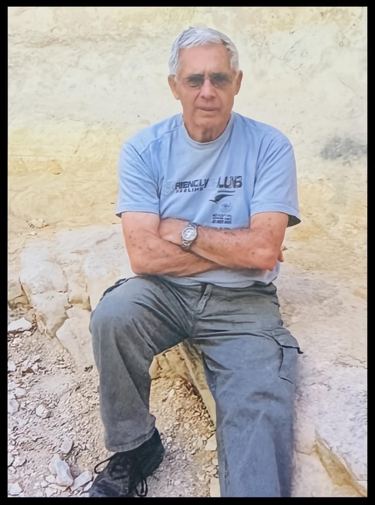 פורטל הכרמל