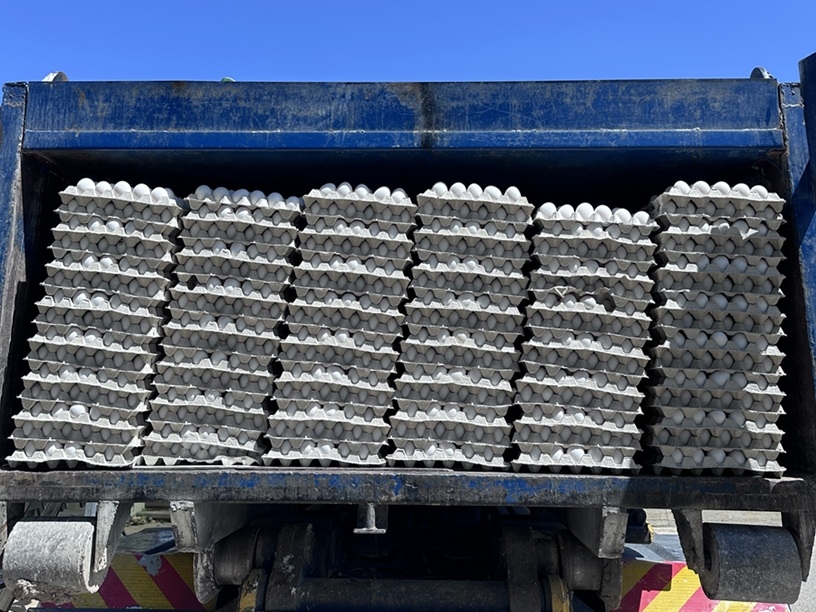 פורטל הכרמל