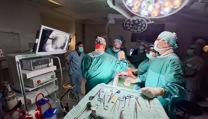 פורטל הכרמל