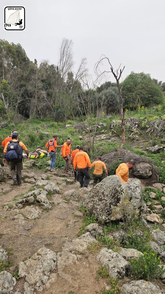 פורטל הכרמל
