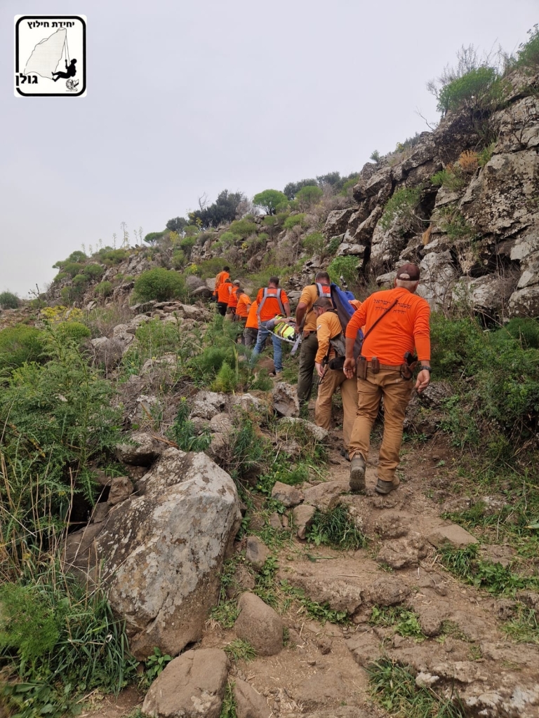 פורטל הכרמל