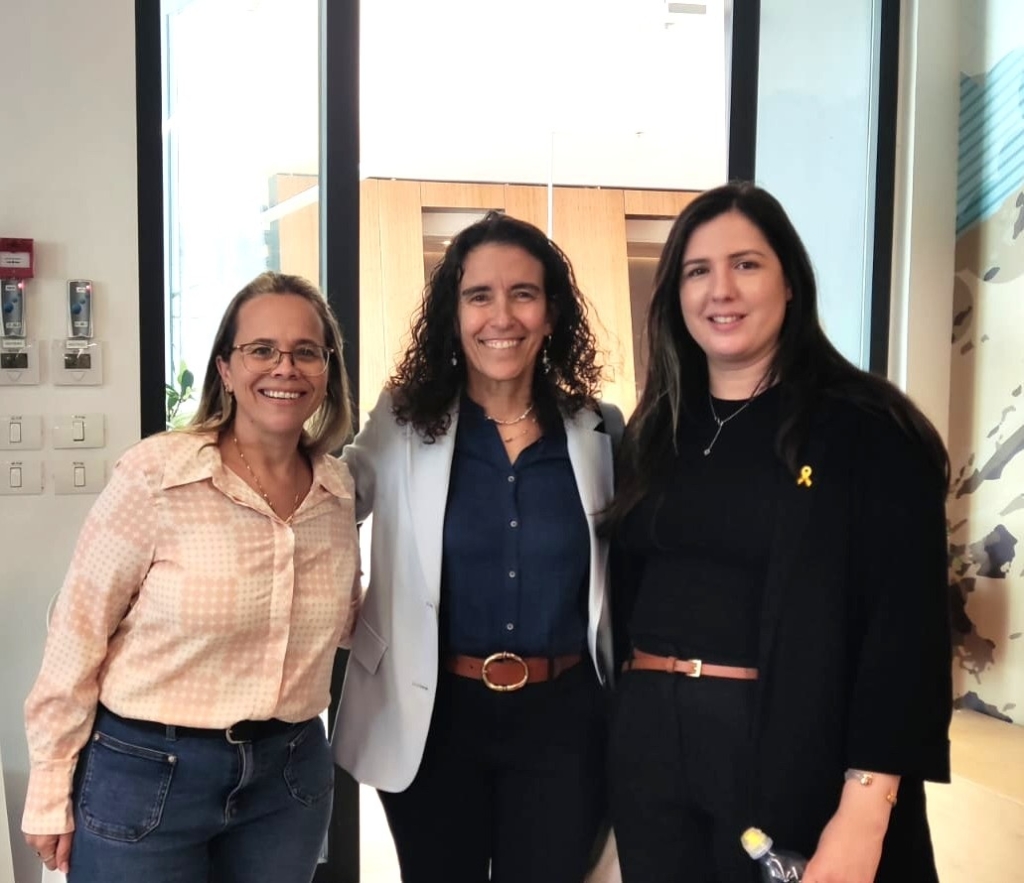 פורטל הכרמל