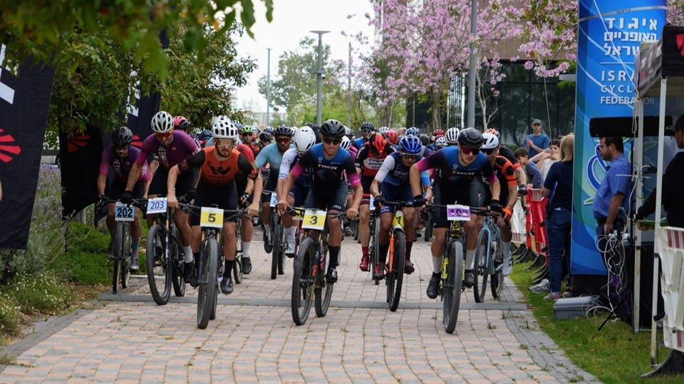 פורטל הכרמל