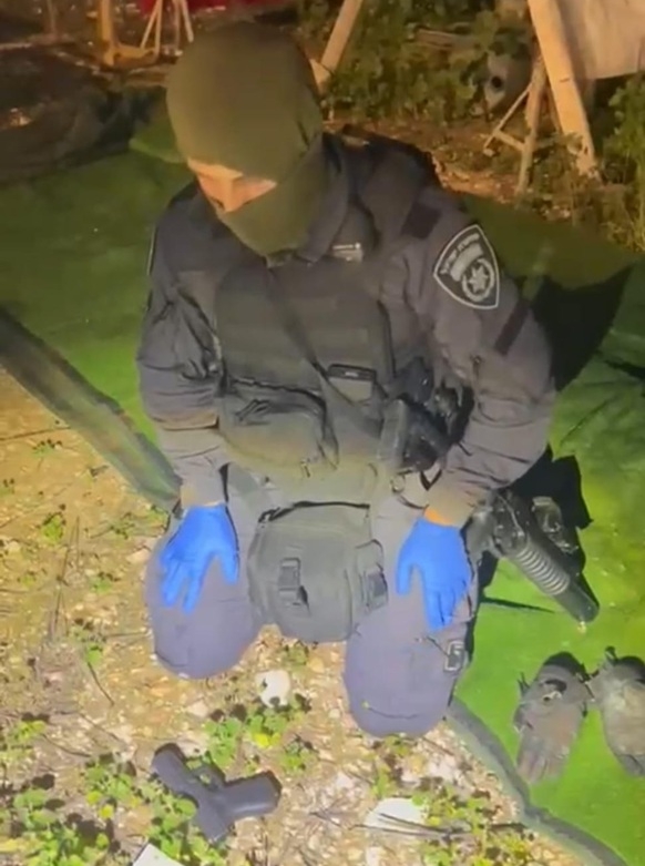 פורטל הכרמל