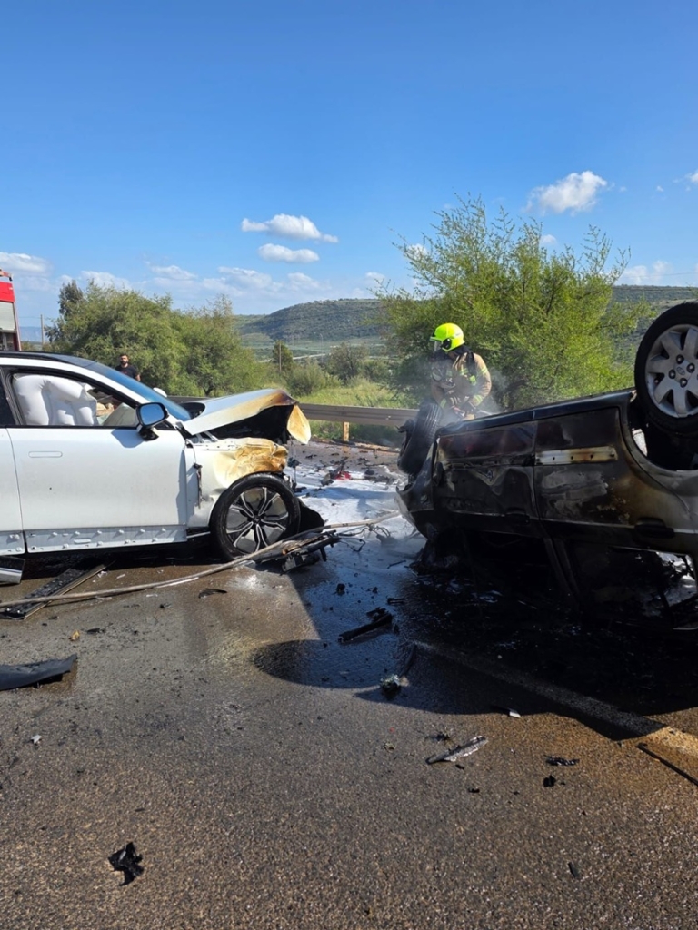 פורטל הכרמל