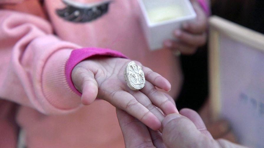 פורטל הכרמל