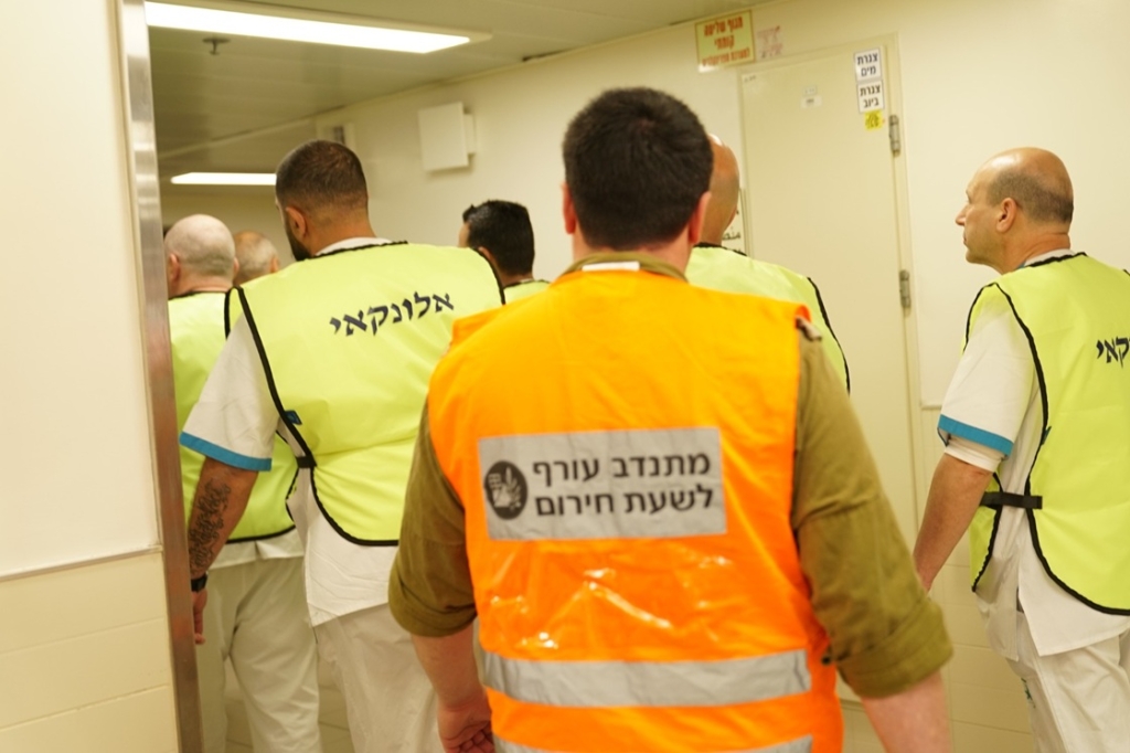 פורטל הכרמל