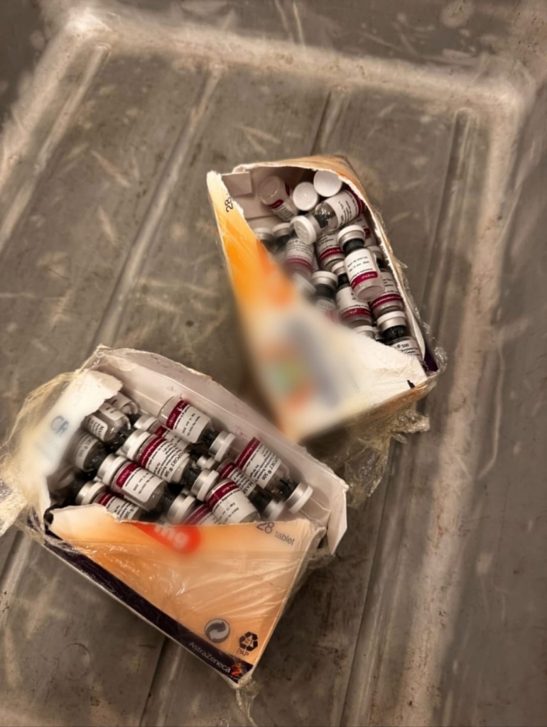 פורטל הכרמל