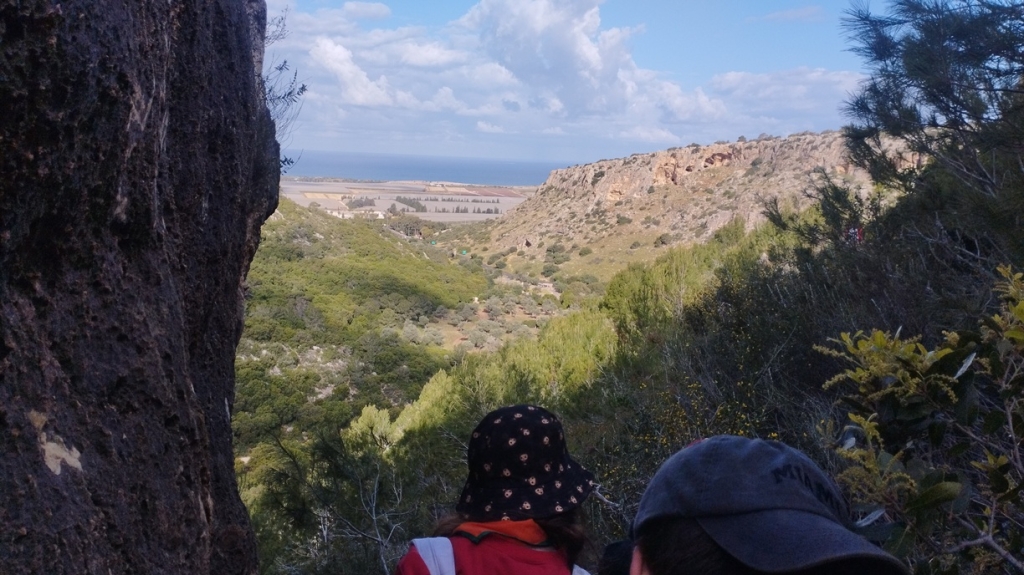 מסלול חוצה ישראל בפארק הכרמל