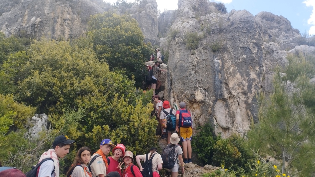 פורטל הכרמל