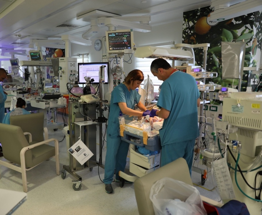 הפגייה של רמב"ם ממשיכה להצטיין