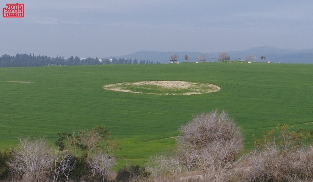 שלום לך ארץ נהדרת