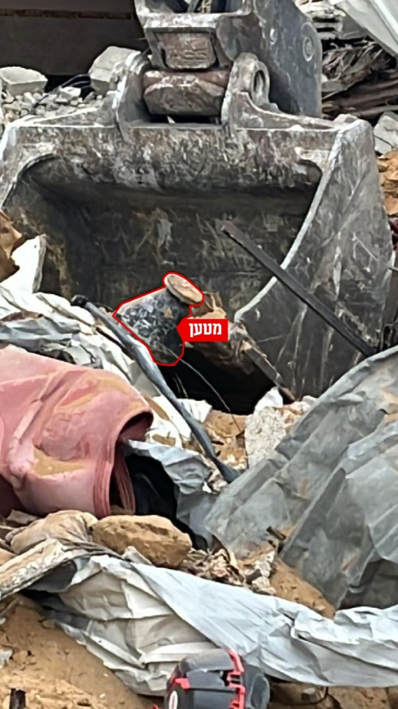 פורטל הכרמל