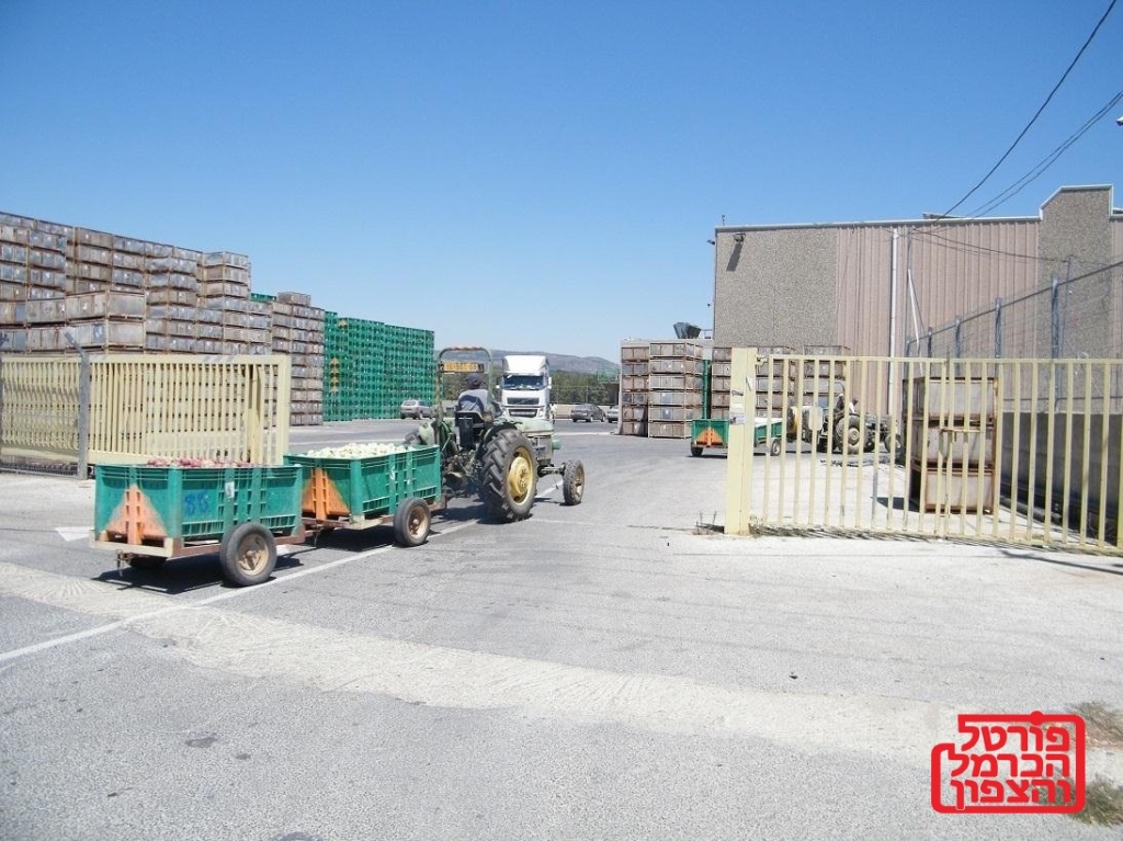 פורטל הכרמל