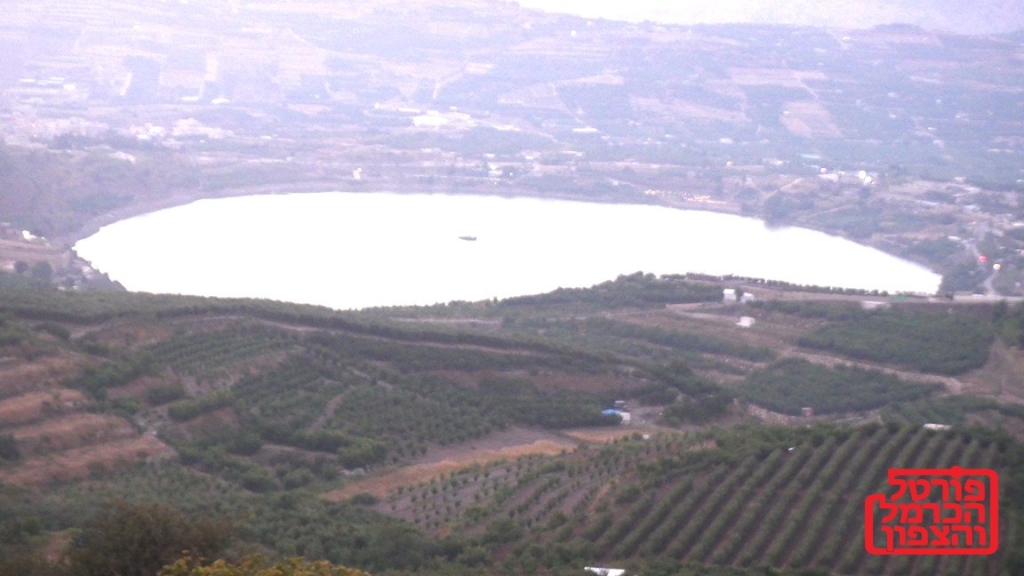 פורטל הכרמל