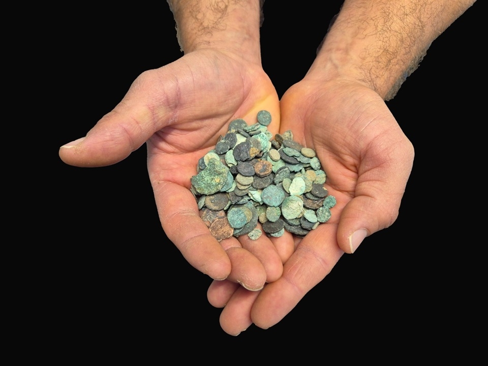 פורטל הכרמל