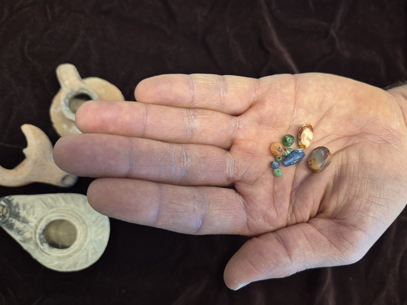 פורטל הכרמל