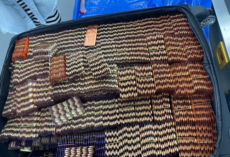 פורטל הכרמל