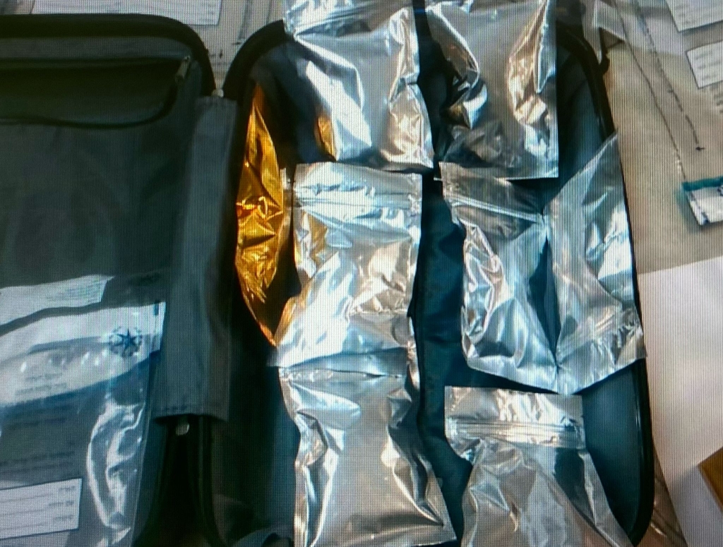 פורטל הכרמל