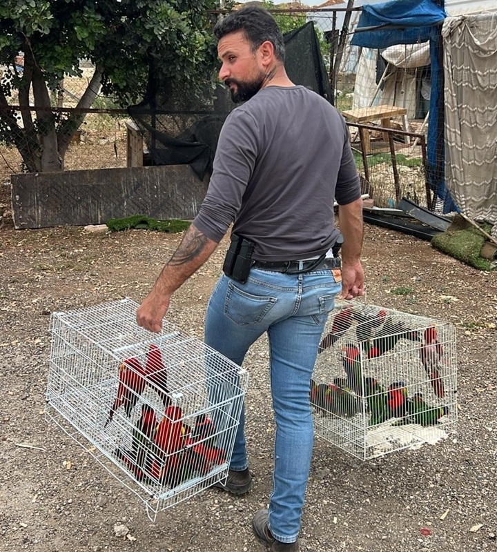 פורטל הכרמל