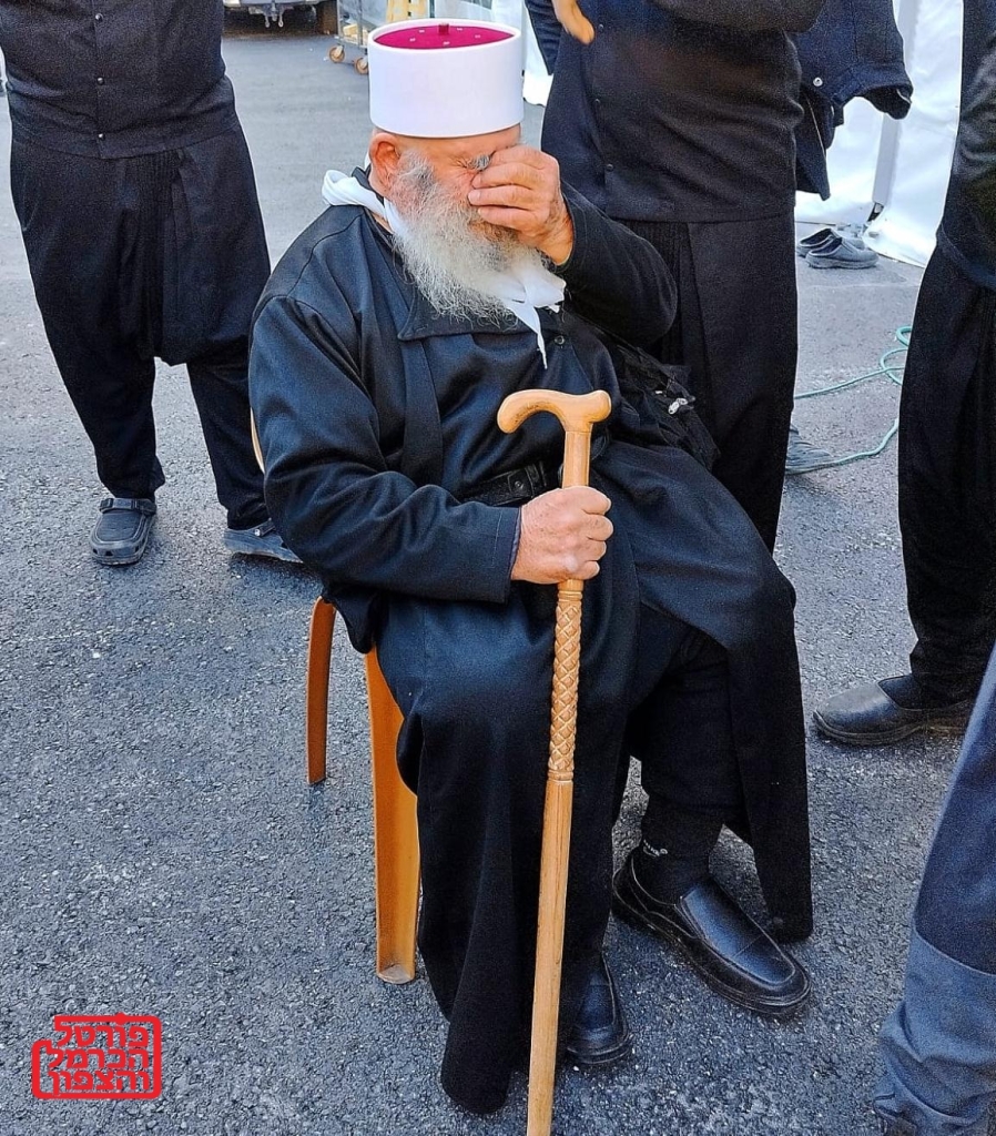 פורטל הכרמל