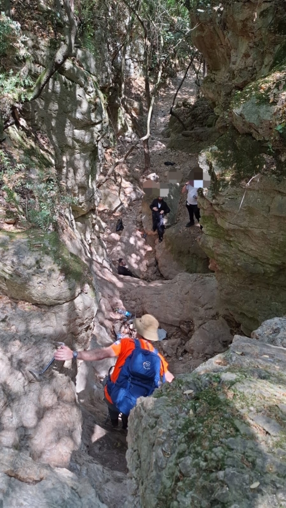 פורטל הכרמל