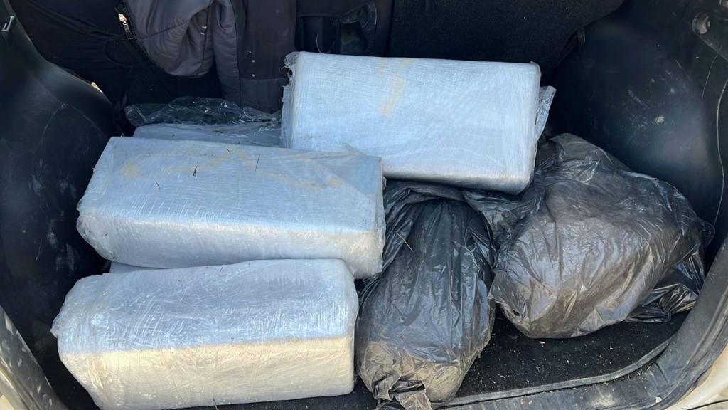 פורטל הכרמל