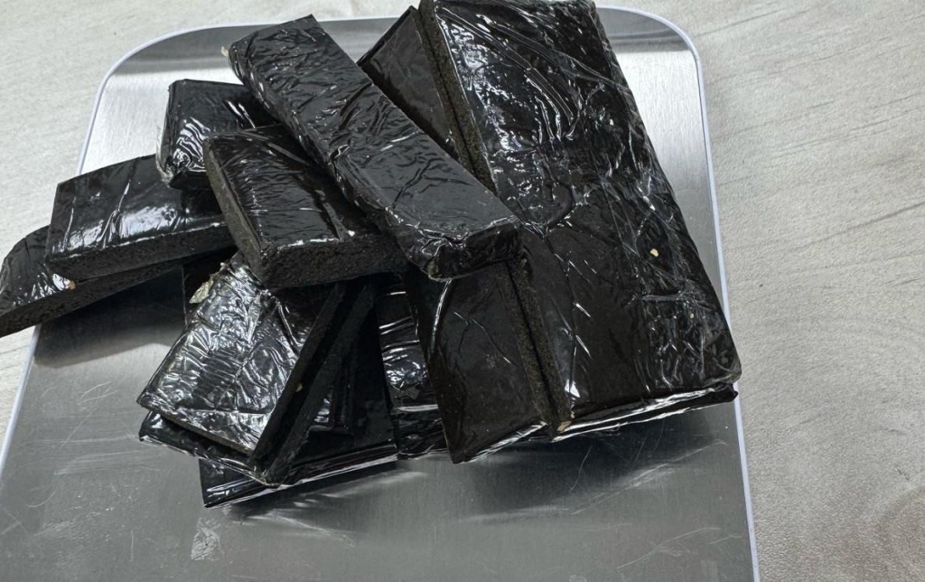 פורטל הכרמל