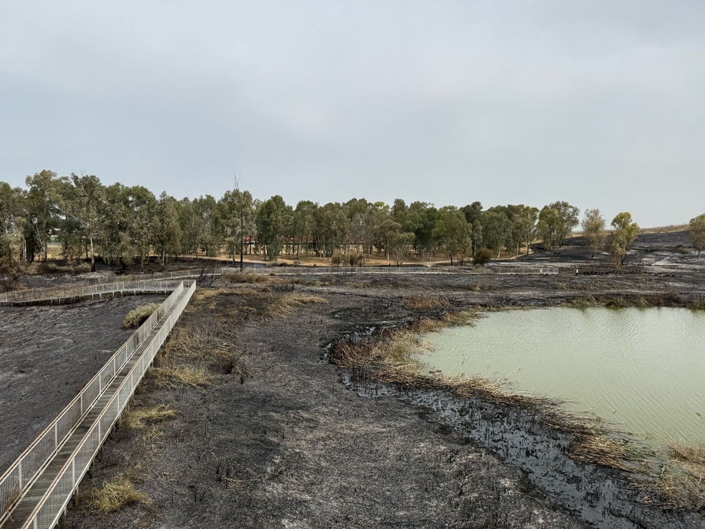 פורטל הכרמל