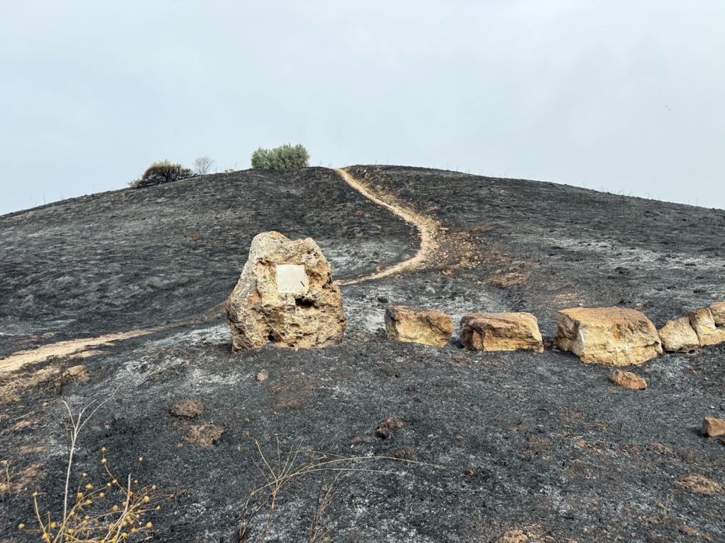 פורטל הכרמל