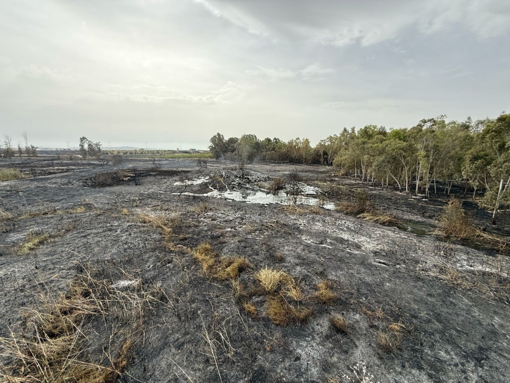 פורטל הכרמל