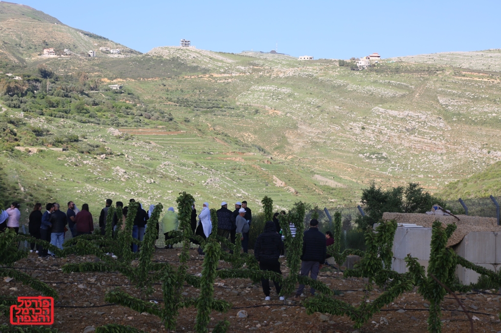 מעל 200 דרוזים נכנסו לסוריה לעזור לדרוזים במלחמתם