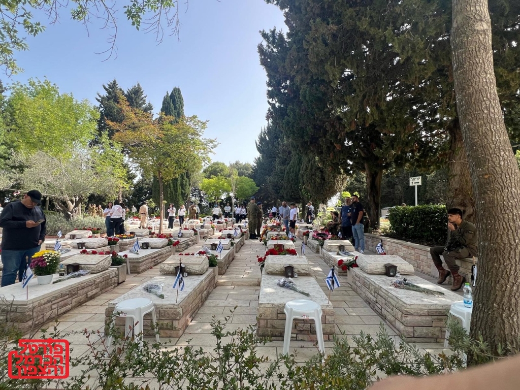 פורטל הכרמל