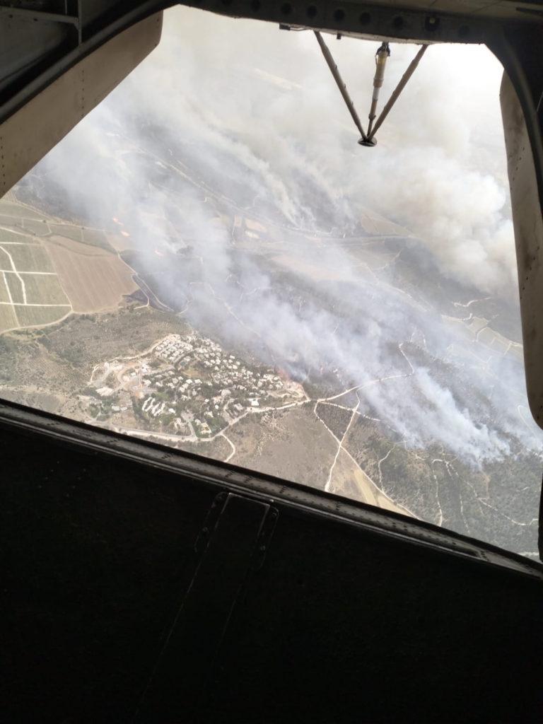 פורטל הכרמל